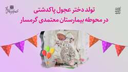 تولد نوزادی عجول پاکدشتی در محوطه بیمارستان معتمدی گرمسار 