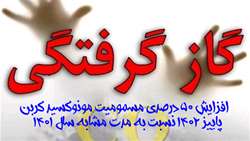 افزایش ۵٠ درصدی مسمومیت مونوکسید کربن پاییز ١۴٠٢ نسبت به مدت مشابه سال ١۴٠١