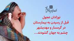 نوزادان عجول قبل از رسیدن به بیمارستان در گرمسار و مهدیشهر چشم به جهان گشودند...