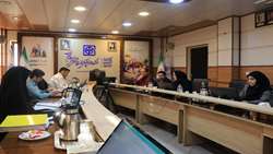  جلسه کارگروه پرداخت مبتنی بر عملکرد دانشگاه برگزار شد