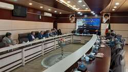 جلسه ستاد حمایت از خانواده و جوانی جمعیت استان سمنان