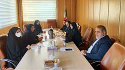 جلسه هماهنگی امور بیمه شدگان بیمه تکمیلی آتیه سازان برگزار شد