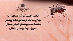 کمترین ابتلا به سالک در استان سمنان در طی 24 سال گذشته / آمار مبتلایان به سالک در شهرستان دامغان تک رقمی شد