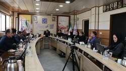 نشست کمیسیون ماده 11 قانون تعزیرات حکومتی بهداشتی درمانی دانشگاه برگزار شد