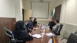 نشست اندیشگاه سلامت زیر کارگروه سلامت و امنیت غذایی استان (ساغ) برگزار شد