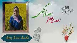 اهدای عضو مادری اهل ترکمن صحرا به چند بیمار نیازمند دریافت عضو، جان دوباره بخشید