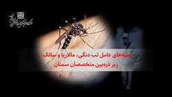 پشه‌های عامل تب دنگی، مالاریا و سالک، زیر ذره‌بین متخصصان سمنان