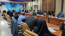 دومین نشست شورای پیام گزاران سلامت ذیل کارگروه سلامت و امنیت غذایی استان سمنان در سال جاری برگزار شد