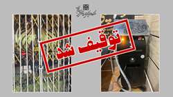توقیف یک دستگاه لیزر غیرمجاز در آرایشگاه زنانه ایوانکی توسط دانشگاه علوم پزشکی استان سمنان