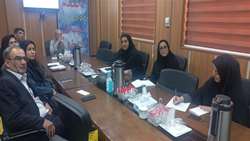 اولین جلسه کمیته راهبردی سلامت سالمندان استان در معاونت بهداشتی برگزار شد