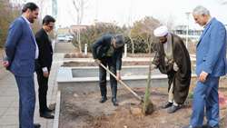 غرس نهال، هدیه خانواده دانشگاه علوم پزشکی استان سمنان به طبیعت