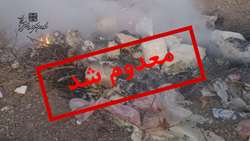 انهدام 2 تن محصول خامه غیر بهداشتی و غیر مجاز در مهدیشهر توسط دانشگاه علوم پزشکی استان سمنان