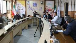 جلسه کمیته مدیریت درمان سکته قلبی دانشگاه برگزار شد