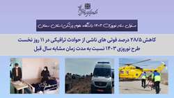 کاهش 28/5 درصد فوتی های ناشی از حوادث ترافیکی در 11 روز نخست طرح نوروزی 1403 نسبت به مدت زمان مشابه سال قبل