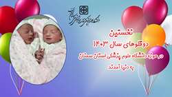 نخستین دوقلوهای سال ۱۴۰۳ در حوزه علوم پزشکی استان سمنان به دنیا آمدند