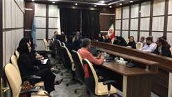 نشست هم اندیشی پیرامون ارتقای بیش از پیش خدمات در داروخانه های بیمارستان های تحت پوشش دانشگاه برگزار شد