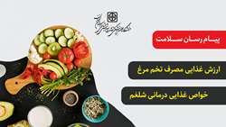 پیام رسان سلامت / ارزش غذایی مصرف تخم مرغ و خواص غذایی درمانی شلغم