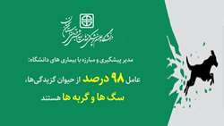 عامل 98 درصد حیوان گزیدگی‌ها، مربوط به سگ و گربه هستند