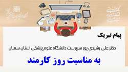 پیام تبریک دکتر علی رشیدی‌پور سرپرست دانشگاه به مناسبت روز کارمند