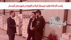 سرپرست معاونت غذا و دارو دانشگاه از پلمب یک کارخانه غیرمجاز تولید کیک و کلوچه خبر داد