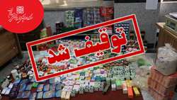 کشف و ضبط بیش از 9 هزار و 500 قلم کالای قاچاق، غیربهداشتی و غیرمجاز از یک واحد عطاری در شهرستان سمنان توسط معاونت غذا و داروی دانشگاه