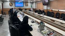 نشست هم اندیشی و هماهنگی با جمعی از پزشکان شاغل در مراکز خدمات جامع سلامت دانشگاه برگزار شد