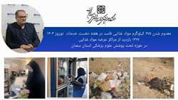 معدوم شدن ۲۷۵ کیلوگرم مواد غذایی فاسد در هفته نخست خدمات نوروز ۱۴۰۴ در مناطق تحت پوشش دانشگاه 