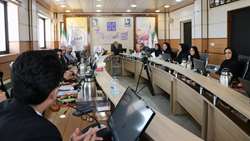 دومین جلسه ستاد مرکزی هماهنگی جوانی جمعیت سال 1404 برگزار شد