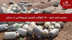 سرپرست معاونت غذا و دارو دانشگاه از معدوم سازی حدود 1500 کیلوگرم خیارشور غیربهداشتی در سمنان خبر داد
