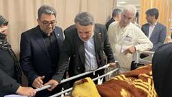 بازدید معاون فرهنگی و دانشجویی وزارت بهداشت و مدیر کل دانشجویی از روند رسیدگی به دانشجویان مصدوم حادثه اخیر   