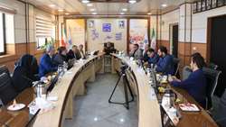 نشست هماهنگی برای راه‌اندازی نیروگاه خورشیدی در دانشگاه علوم پزشکی استان سمنان برگزار شد 
