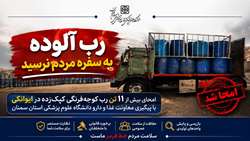 از کشف تا امحا؛ بیش از ۱۱ تن رب غیربهداشتی از چرخه مصرف خارج شد