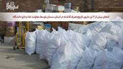 امحای بیش از ۴ تن داروی تاریخ‌مصرف‌گذشته در 4 سال اخیر از داروخانه های تحت پوشش دانشگاه