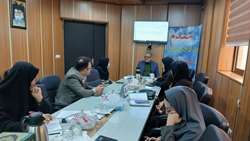 دهمین کارگروه پیشگیری و مقابله با سقط عمدی جنین در سال 1404 برگزار شد