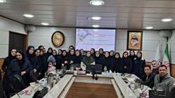 کارگاه حضوری 4 روزه دوره هادیان زندگی برای ارائه دهندگان خدمت مراکز خدمات جامع سلامت در سال 1404 برگزار شد