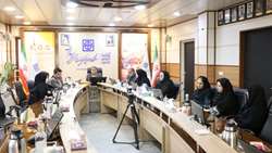 جلسه کمیته دانشگاهی ترویج تغذیه با شیر مادر در دانشگاه علوم پزشکی استان سمنان برگزار شد