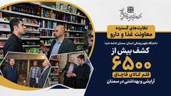 کشف بیش از 6 هزار و 500 قلم کالای قاچاق آرایشی و بهداشتی در سمنان توسط معاونت غذا و دارو دانشگاه