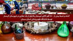 کشف و ضبط بیش از ۱۵۰۰ قلم کالای غیرمجاز و قاچاق از یک عطاری در شهرستان گرمسار