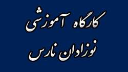 چهارم و پنجم بهمن ماه 94 کارگاه مراقبت تکاملی یگانه در بخش مراقبت ویژه نوزادان برگزار می شود.