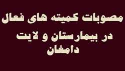 جلسه پیگیری مصوبات کمیته های فعال در بیمارستان ولایت دامغان 