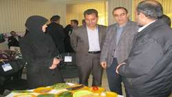 بازدید دكتر عبدوس رئیس بیمارستان 15 خرداد مهدیشهر از نمایشگاه توانمندی های داوطلبان سلامت