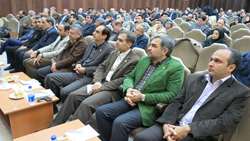 برگزاری مراسم بزرگداشت هفته پژوهش سال 1394