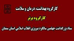 کارگروه بهداشت، درمان و سلامت به عنوان کارگروه برتر ستاد بزرگداشت چهلمین سالگرد پیروزی انقلاب اسلامی استان سمنان انتخاب شد