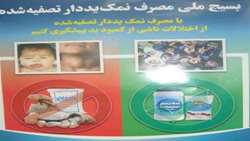 بسیج ملی نمک یددار تصفیه شده