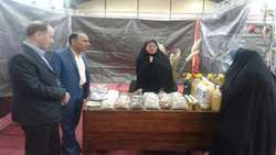 کارآفرینان موفق.