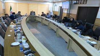 کمیته دانشگاهی مرگ مادر 95/05/27