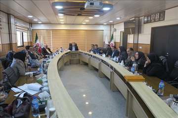 کمیته مرگ مادر 96/10/06 