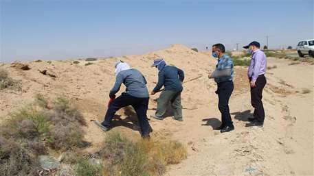  بازدید میدانی از سومین مرحله از طرح مقابله با مخزن سالک در روستاهای آلوده به سالک شهرستان دامغان