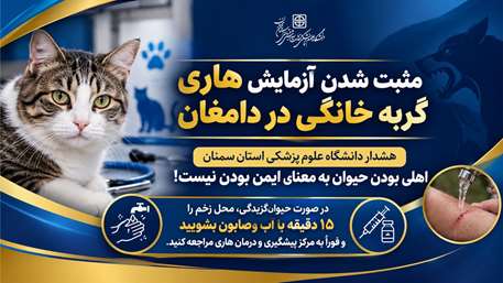  مثبت شدن آزمایش هاری یک گربه خانگی در دامغان؛ تأکید دانشگاه بر ضرورت پیشگیری فوری پس از حیوان‌گزیدگی