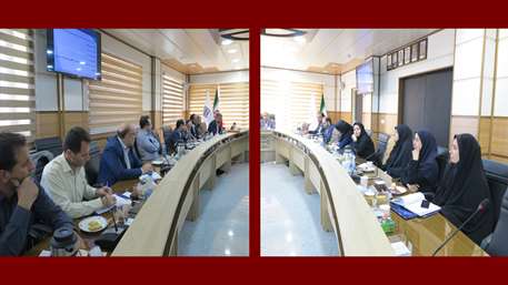  دانشگاه علوم پزشکی و خدمات بهداشتی درمانی استان سمنان